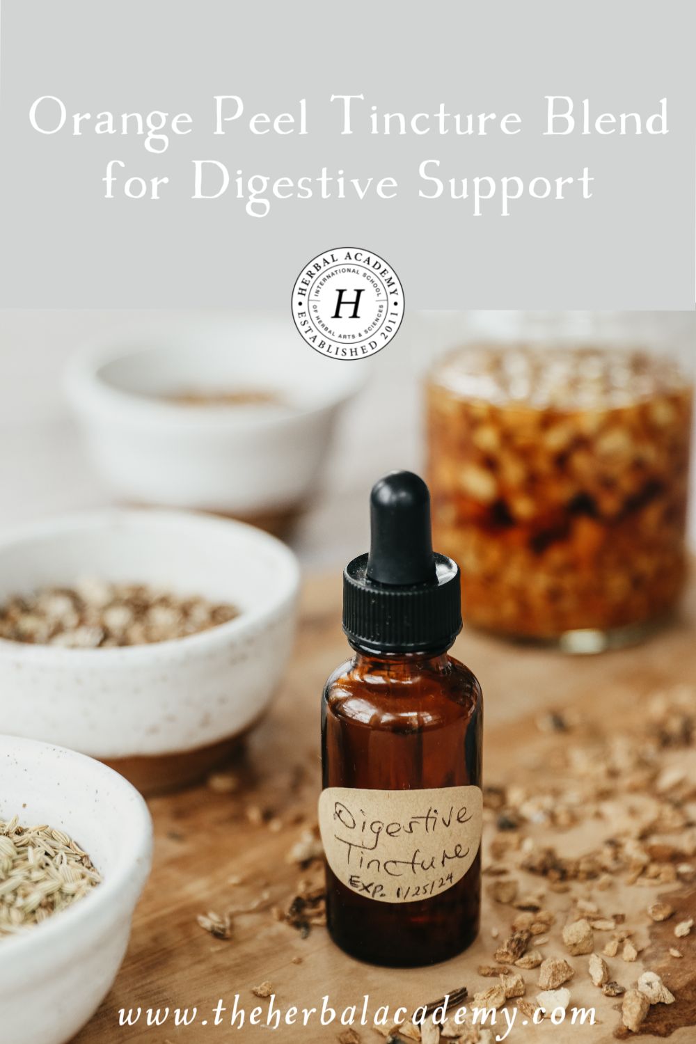 Orange Peel Tincture Blend for Digestive Support | Herbal Academy | Learn how to make an orange peel tincture at home with this simple herbal recipe to support digestive health.