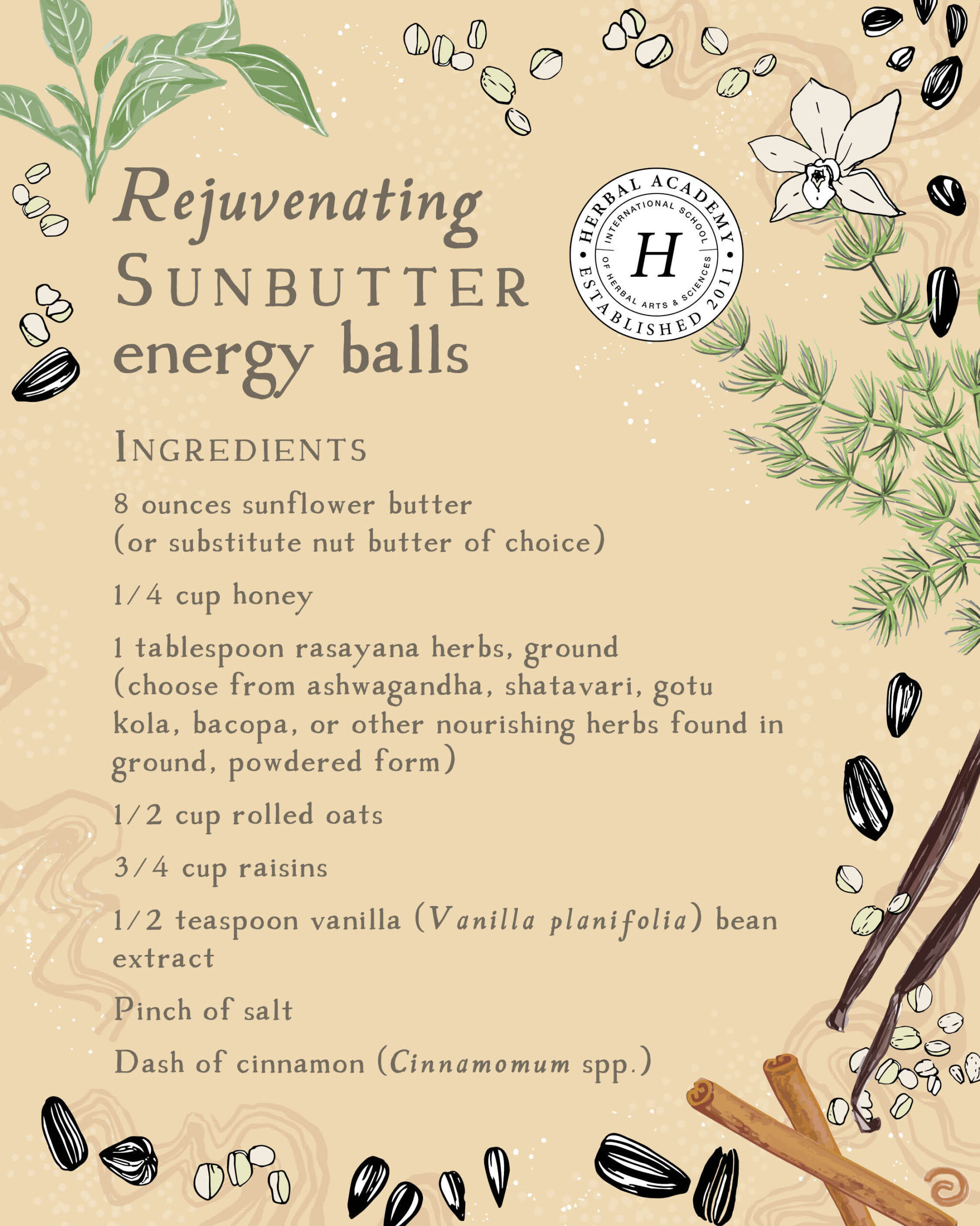 Sunbutter Energy Balls ingredients