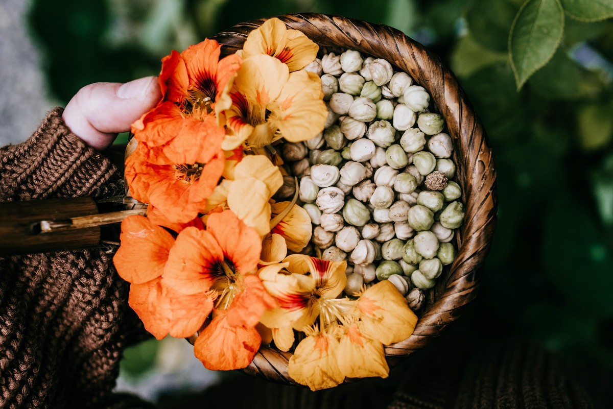 basket with flowers and nuts