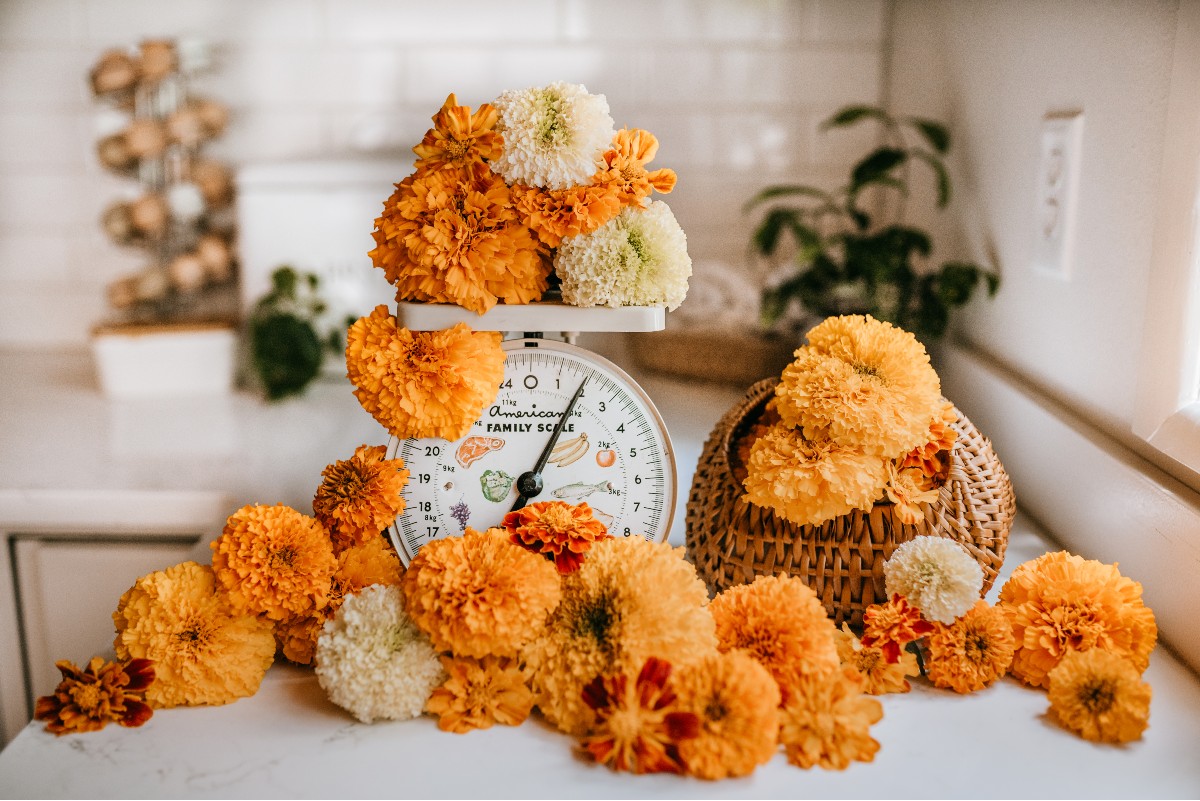 orange and white flowers on a scale and in a basket