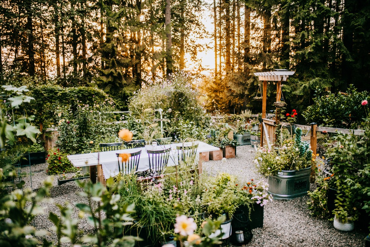 a garden of pots and raised beds of herbs with a table and chairs