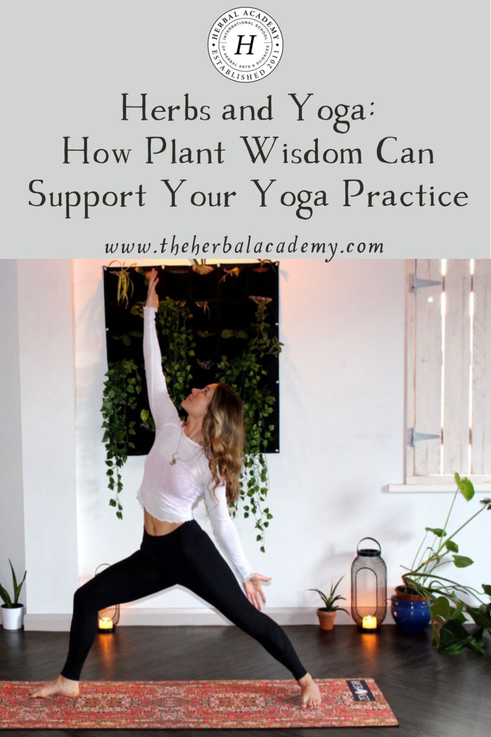 Herbs and Yoga: How Plant Wisdom Can Support Your Yoga Practice | Herbal Academy | Herbs can support balance, helping to quiet distractions and giving us the strength to engage deeper in our yoga practice.