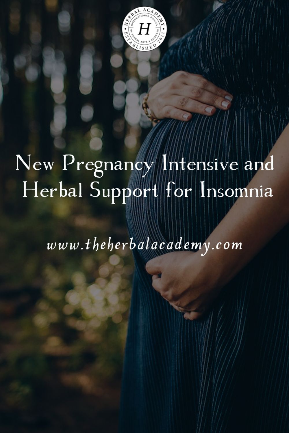 New Pregnancy Intensive and Herbal Support for Insomnia | Herbal Academy | In addition to herbal support, there are many self-care strategies that may help to ease stress, anxiety, and insomnia during pregnancy.