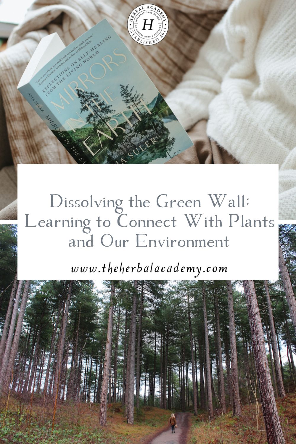 Dissolving the Green Wall: Learning to Connect With Plants and Our Environment | Herbal Academy | In The Green Wall book excerpt by Asia Suler, we see that by connecting with plants, we can change our perception of our environment.