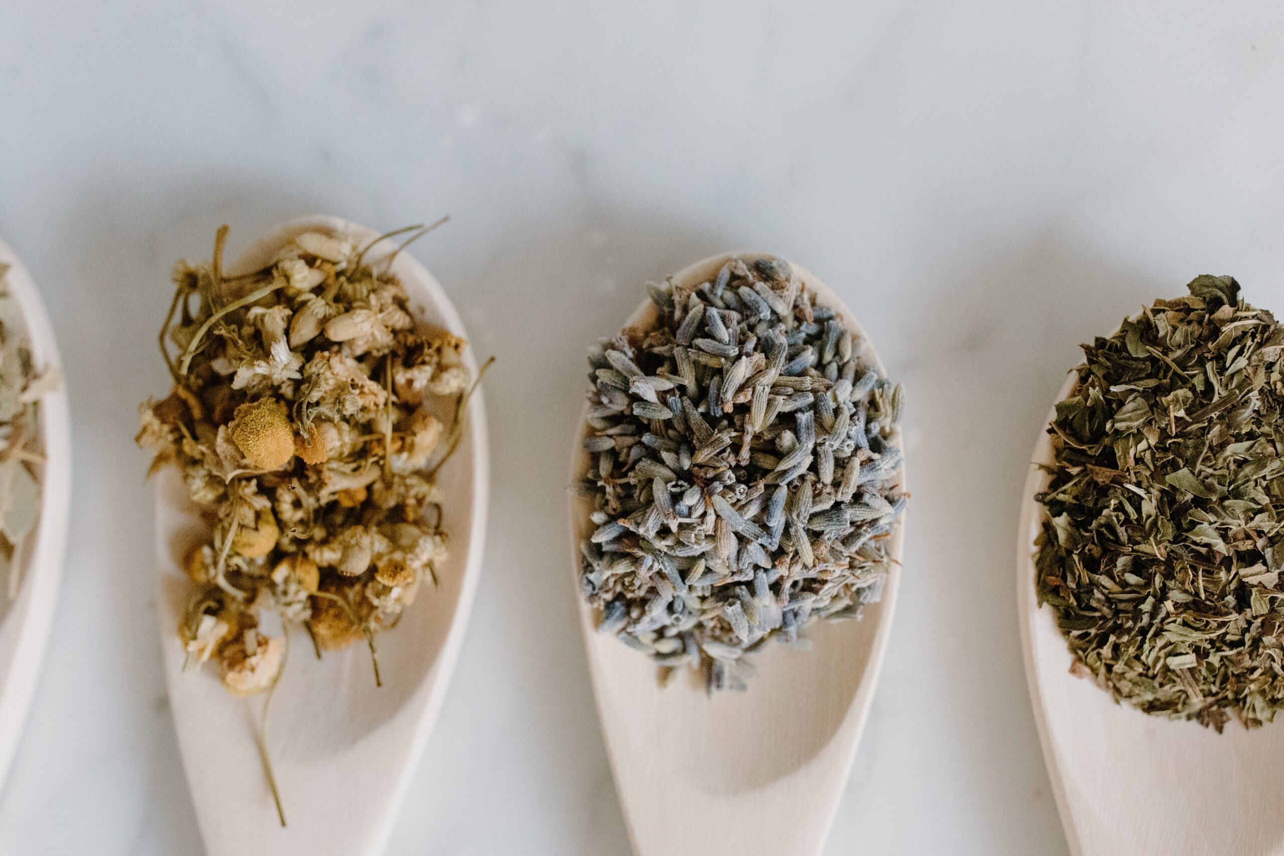 dried herbs on wooden spoons