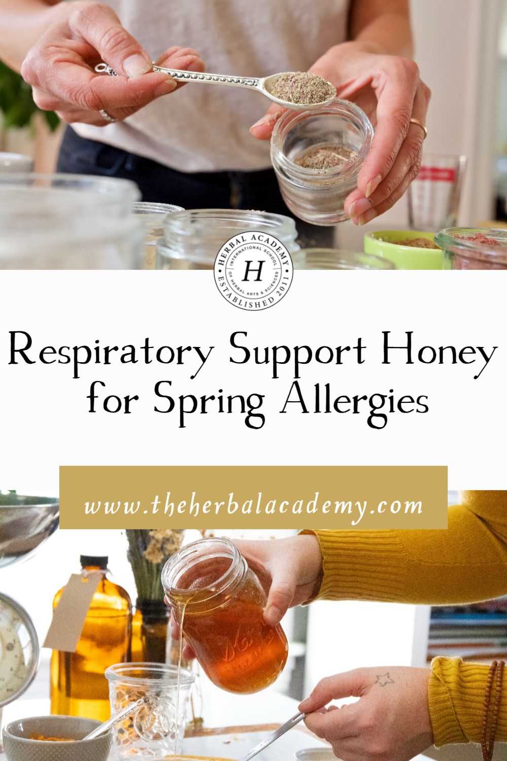 Respiratory Support Honey for Spring Allergies | Herbal Academy | For nature lovers with spring allergies, Respiratory Support Honey can be a helpful step toward turning to herbs for support in our health.