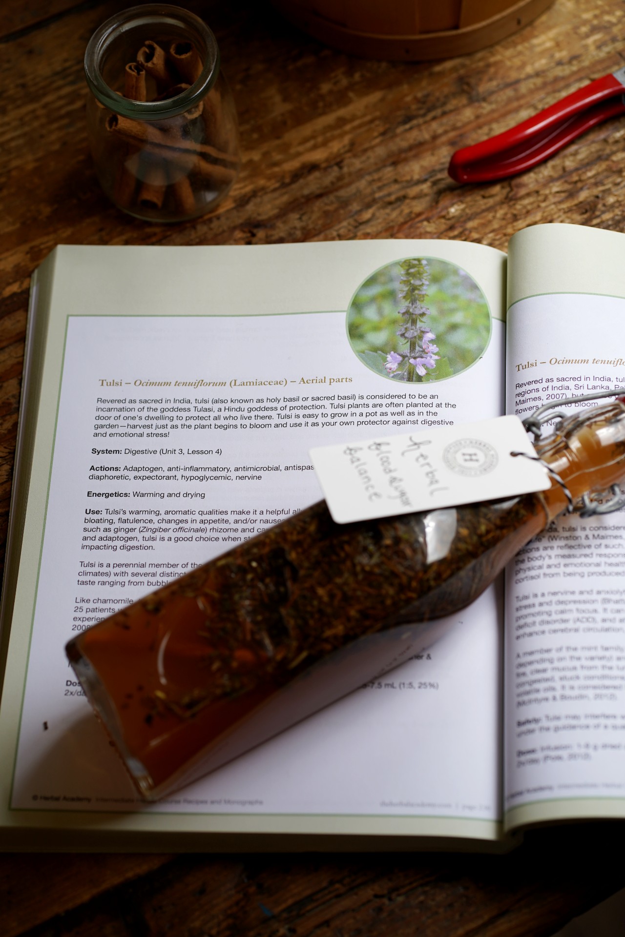 bottle of herbal blood sugar balance laying on an open book that is turned to a page on tulsi