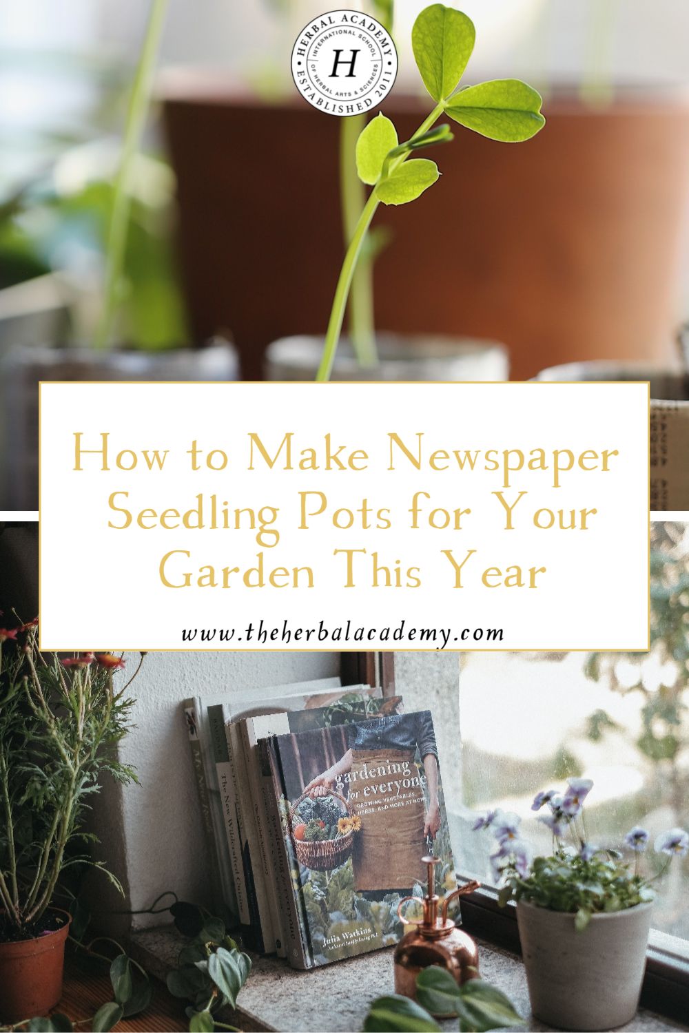 How to Make Newspaper Seedling Pots for Your Garden This Year | Herbal Academy | Sustainability expert Julia Watkins shares everything you need to know to grow your own vegetables - including DIY newspaper seedling pots!