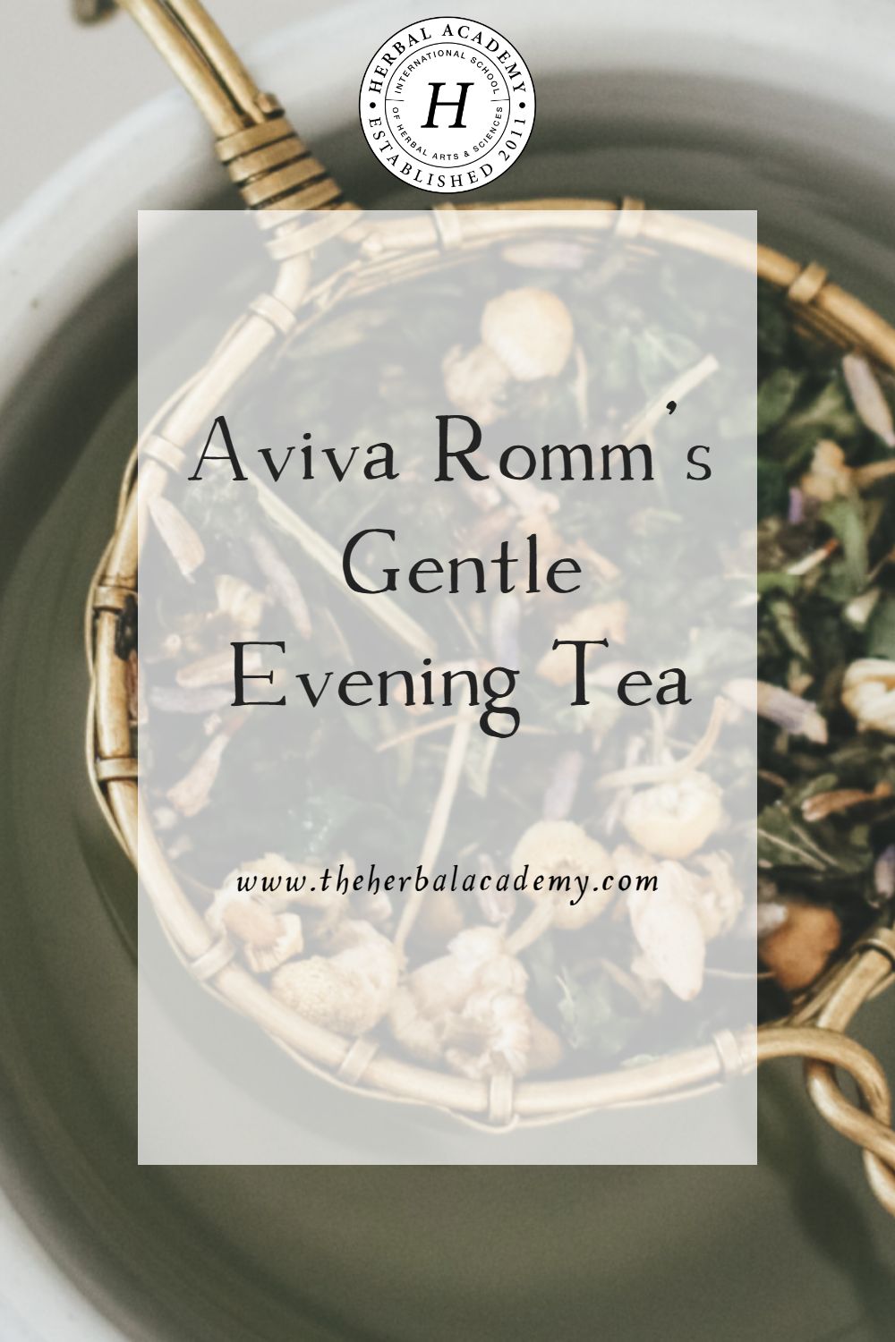 Aviva Romm’s Gentle Evening Tea | Herbal Academy | In this Gentle Evening Tea blend video, Aviva Romm includes three familiar herbs and shares her recipe with us.