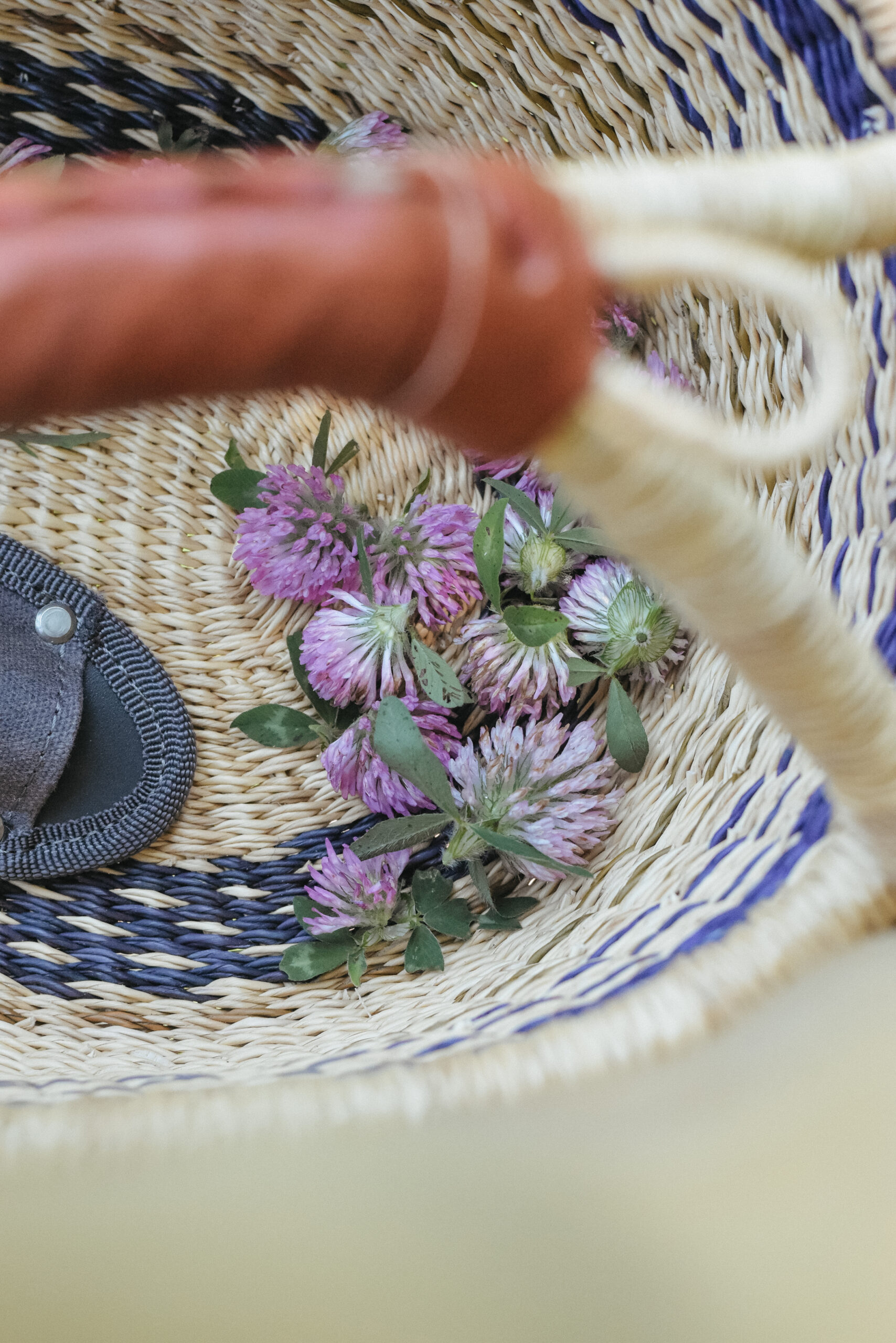 What are alterative herbs? Plus an Alterative formula for Spring 