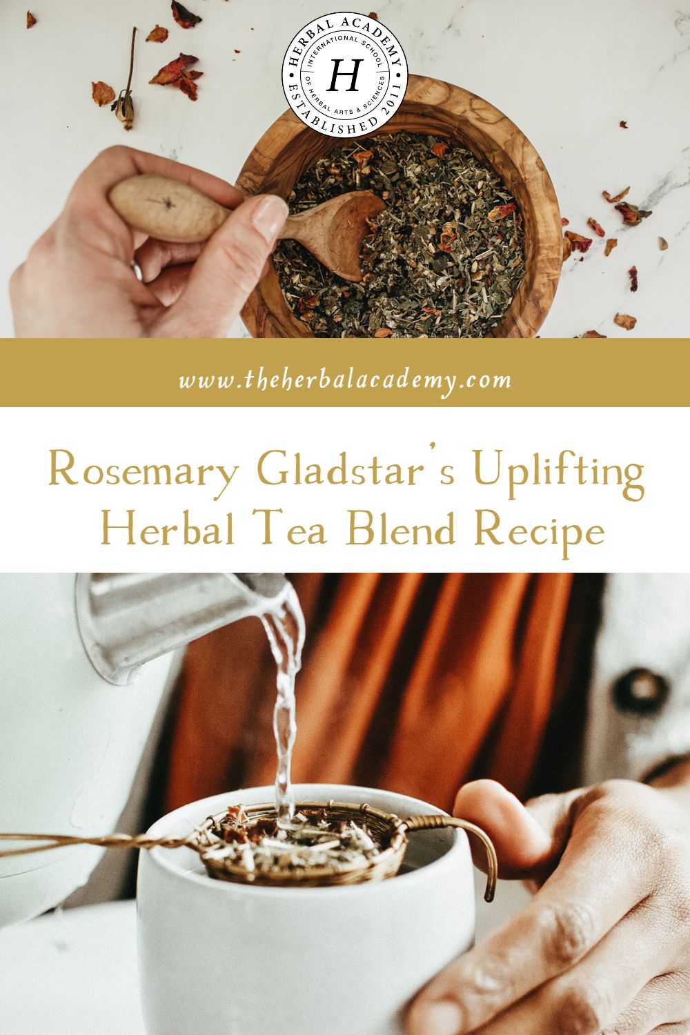 Rosemary Gladstar’s Uplifting Herbal Tea Blend Recipe | Herbal Academy | In this video, we are delighted to have herbalist Rosemary Gladstar share a joyful and uplifting tea blend recipe that is a favorite!