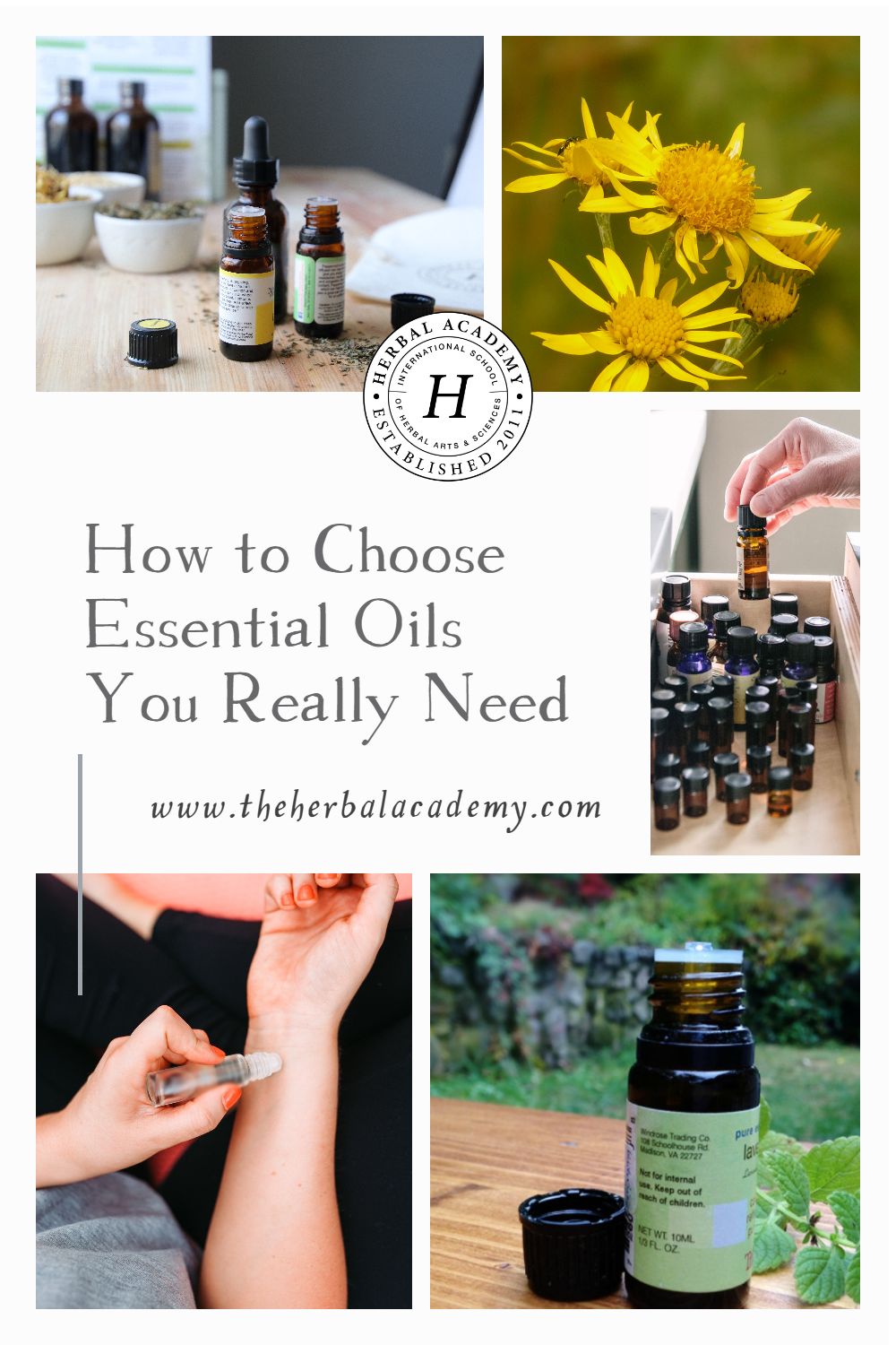 How to Choose Essential Oils You Really Need | Herbal Academy | If we care about safety, sustainability, frugality, and waste, we will approach with careful consideration when we choose essential oils.