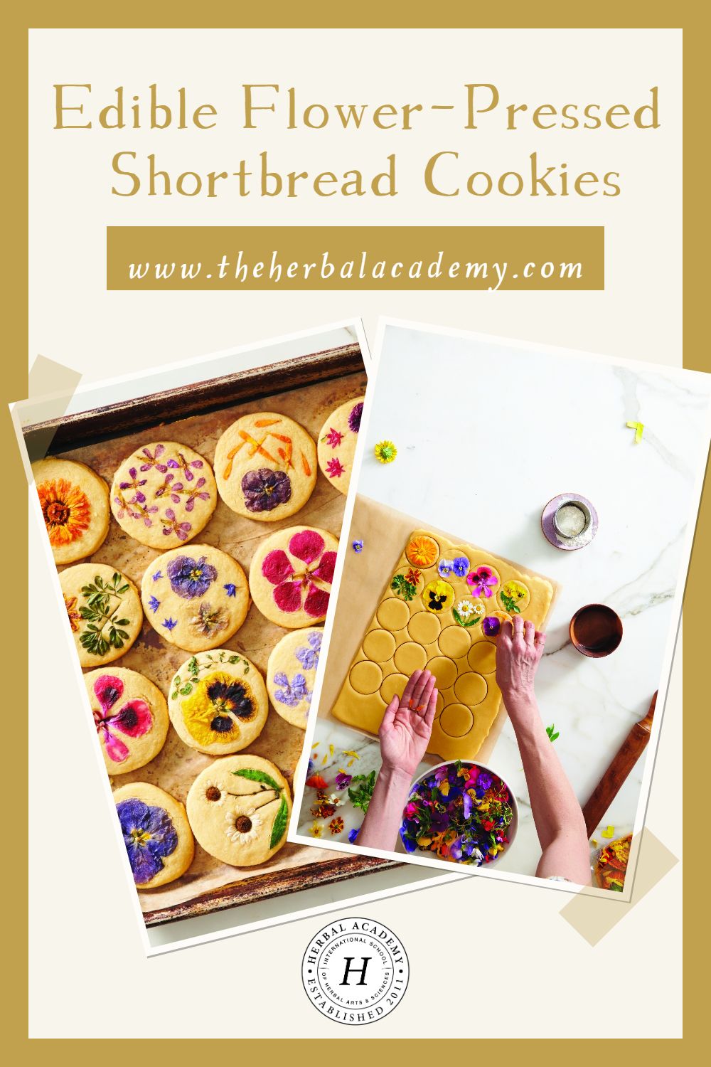 Edible Flower-Pressed Shortbread Cookies | Herbal Academy | This recipe for delicately sweet shortbread cookies is taken from Loria Stern's brand-new book release, Eat Your Flowers.