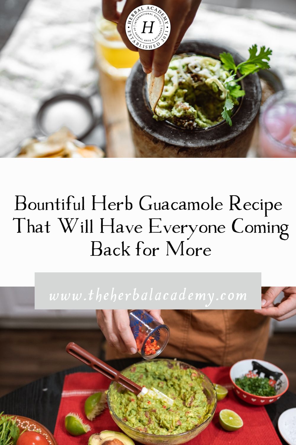 Bountiful Herb Guacamole Recipe That Will Have Everyone Coming Back for More | Herbal Academy | Our Bountiful Herb Guacamole Recipe features fresh avocados, chopped herbs, garlic, lime juice, and salt. Healthy, simple, delicious!