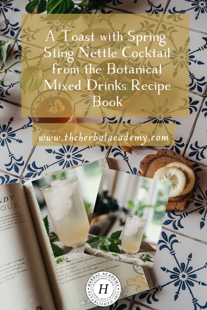 A Toast With Spring Sting Nettle Cocktail From the Botanical Mixed