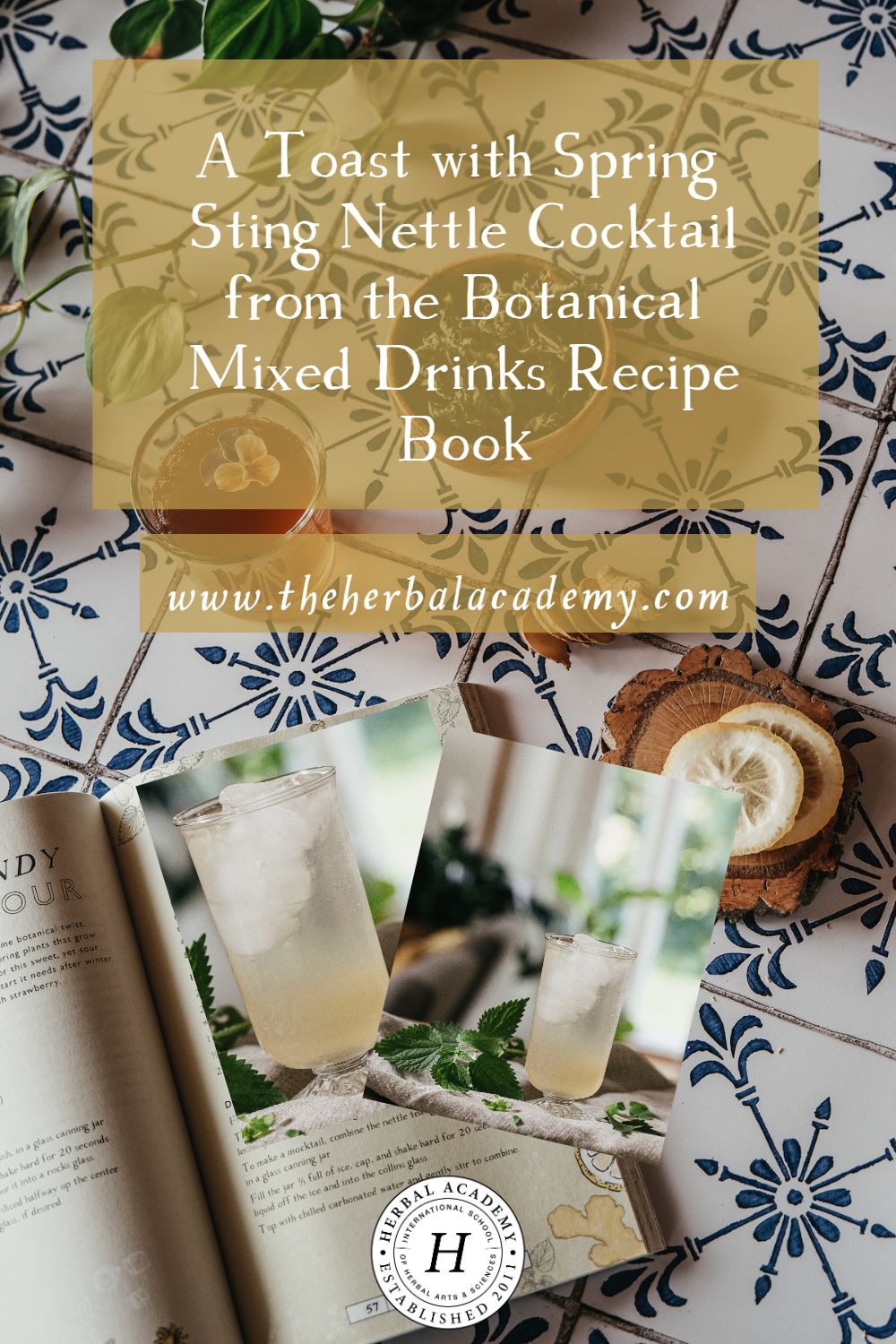 A Toast with Spring Sting Nettle Cocktail from the Botanical Mixed Drinks Recipe Book | Herbal Academy | Herbalists Jane Metzger and Amber Meyers offer up a toast in the spirit of Herbalist Day with a celebratory cocktail twist on nettle tea!