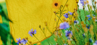 Natural Dye Workshop