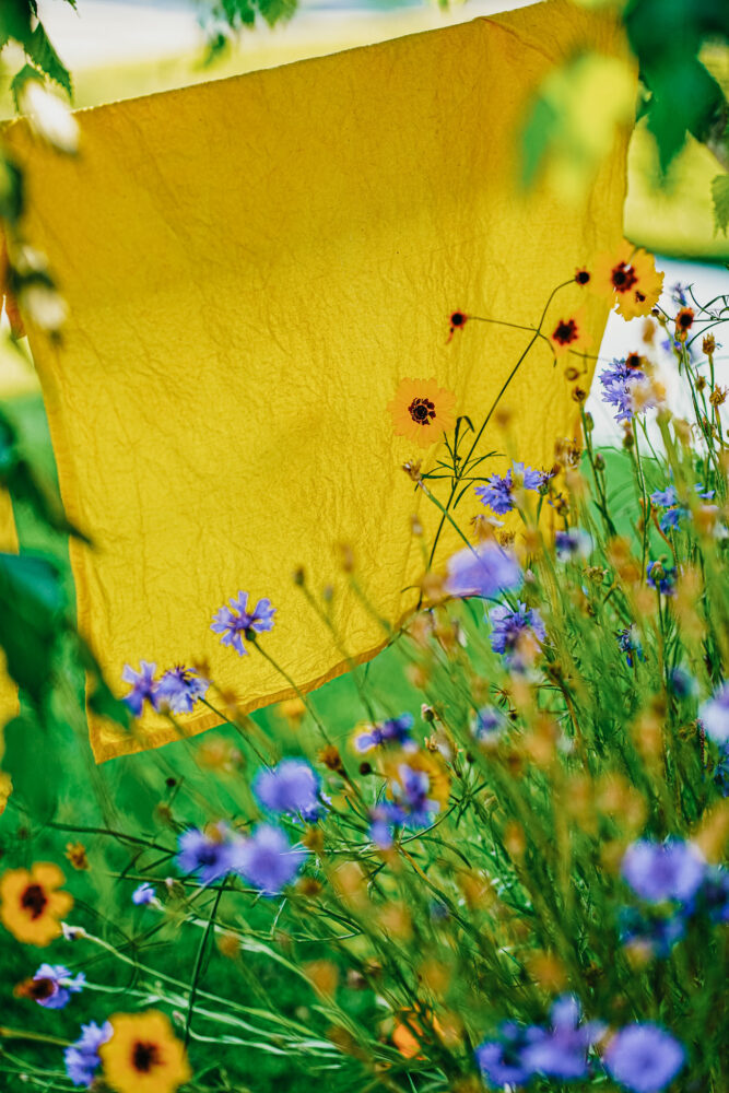 Natural Dye Workshop