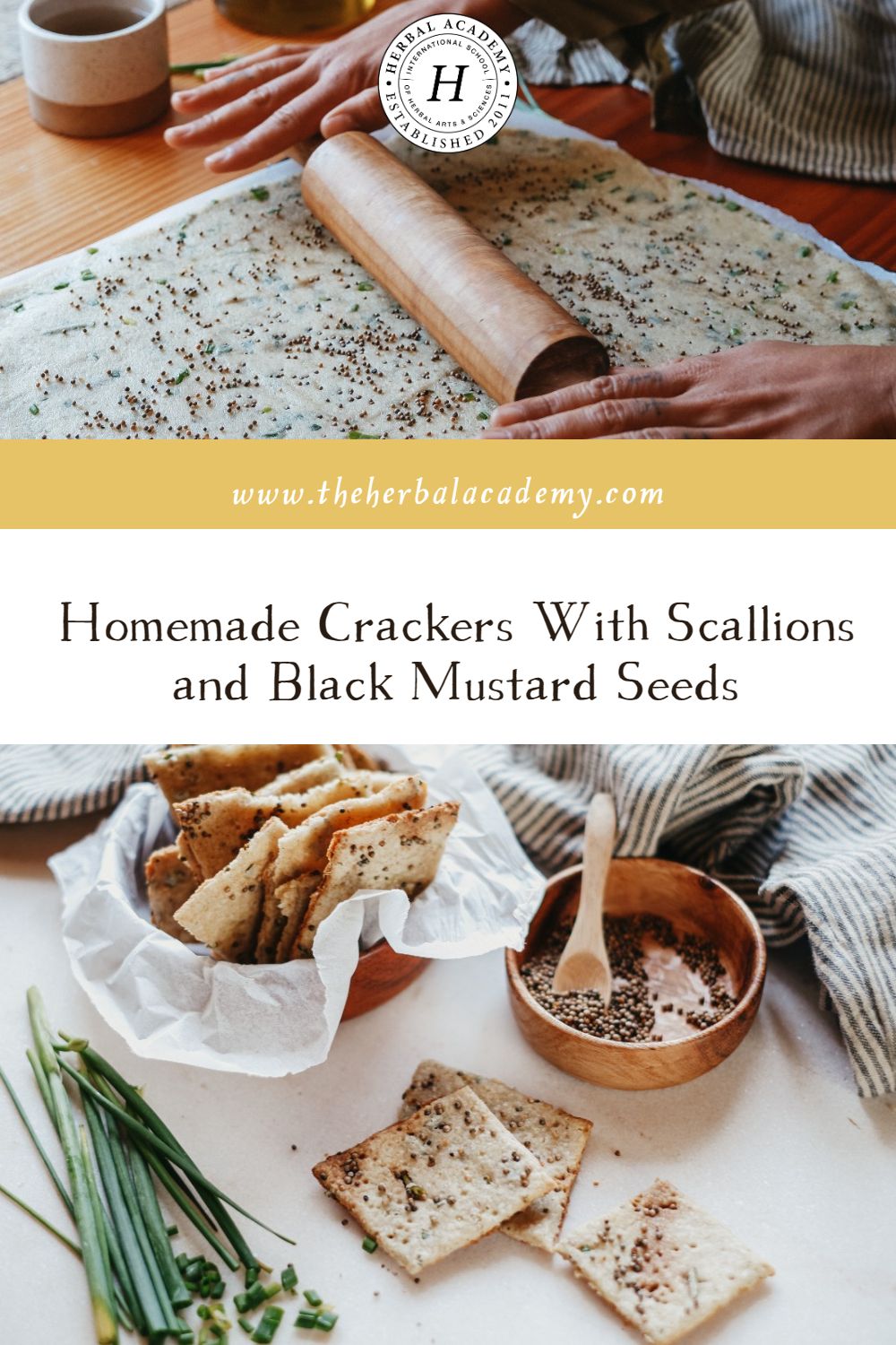Homemade Crackers With Scallions and Black Mustard Seeds | Herbal Academy | Impress your family and friends with these flavorful homemade crackers the next time you are hosting or attending a gathering!