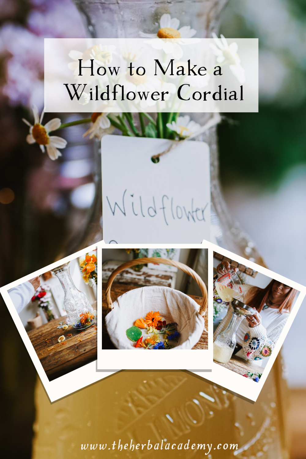 How to Make A Wildflower Cordial | Herbal Academy | Wildflowers and wild fermentation come together to create a delicious and delightful spring-inspired cordial.