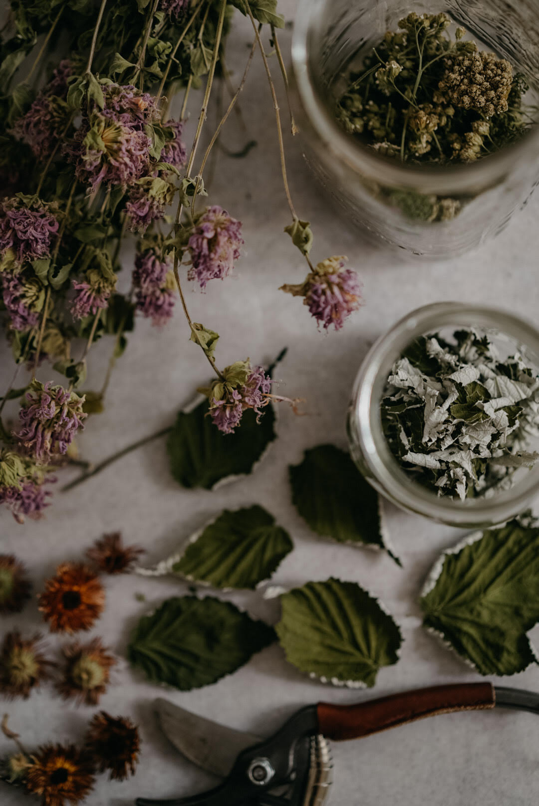 table of dried herbs