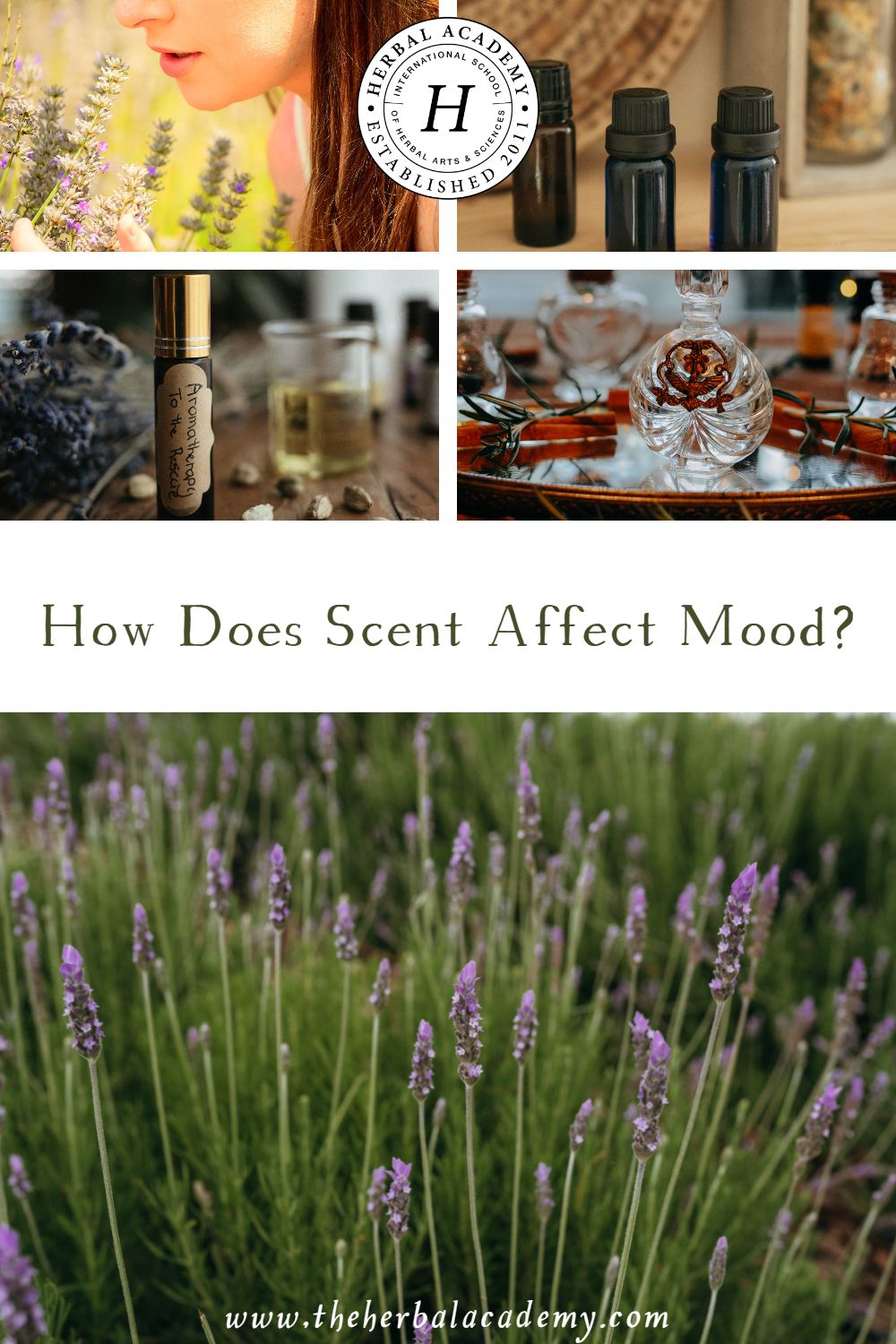 How scent, emotion, and memory are intertwined — and exploited