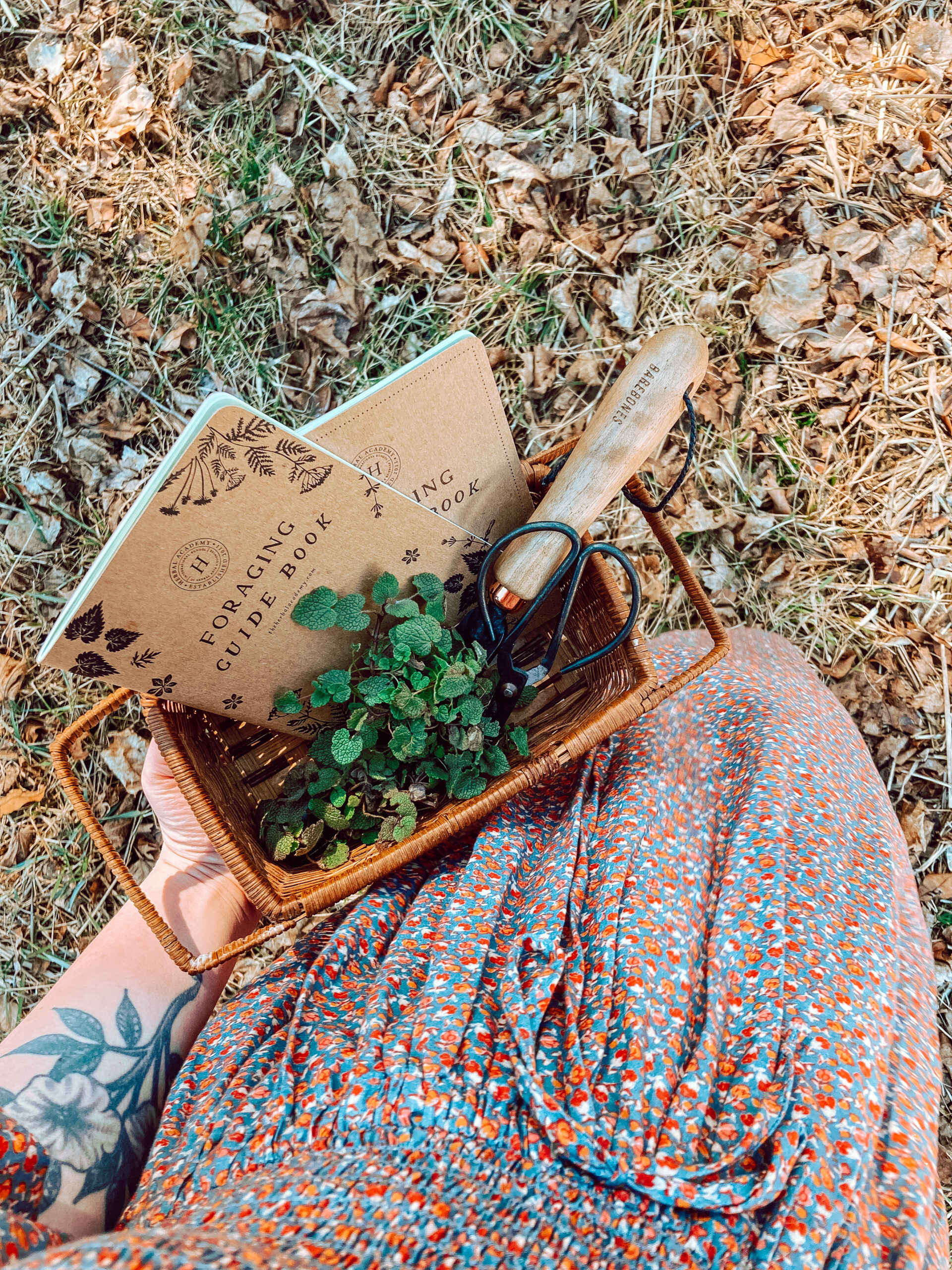 woman holding basket of herbs, foraging guide books