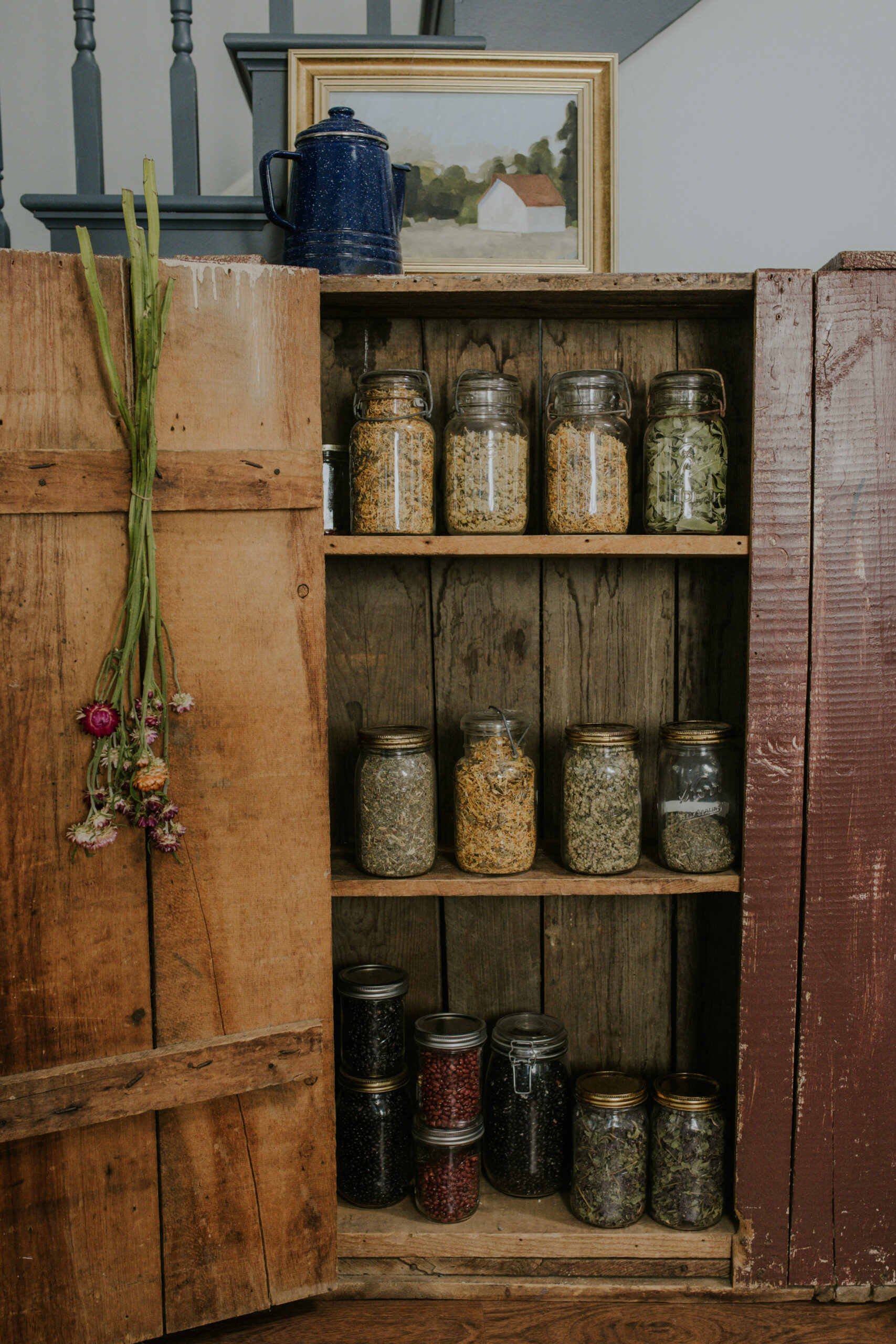 cabinet full of dried herb jars