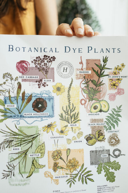 Botanical Dye Plants Poster (10)