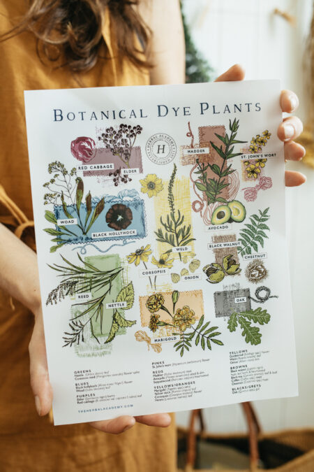 Beautiful Botanical Dye Plants Poster by Herbal Academy