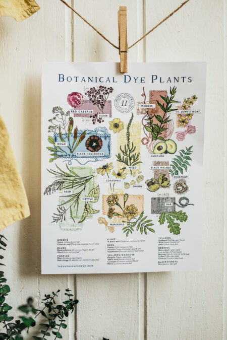 Botanical Dye Plants
