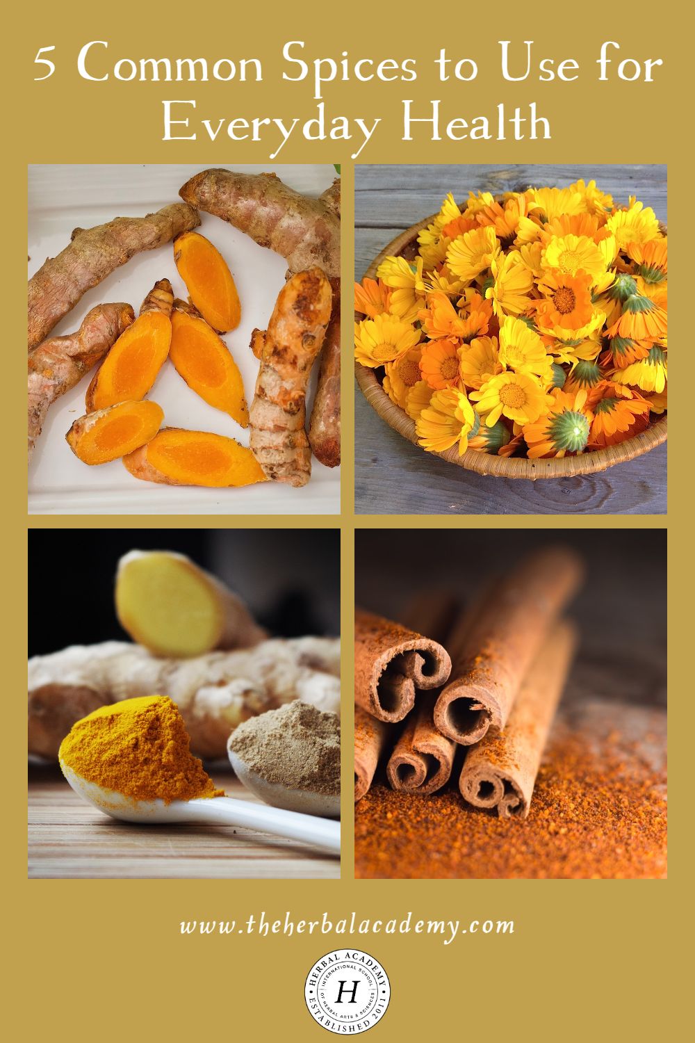 5 Common Spices to Use for Everyday Health | Herbal Academy | Learn about 5 common spices that you can use for everyday health, taken from Bevin Clare's book, Spice Apothecary.