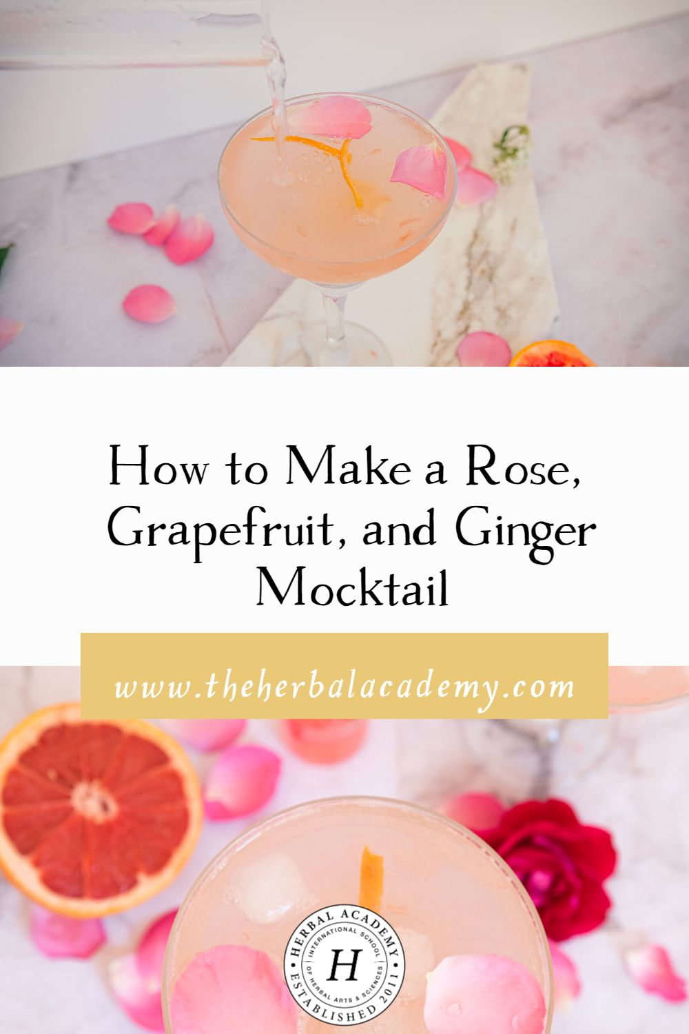 How to Make a Rose, Grapefruit, and Ginger Mocktail | Herbal Academy | Savor the irresistible aroma of this Rose, Grapefuit, and Ginger Mocktail balanced with a touch of bitter for optimal digestion.