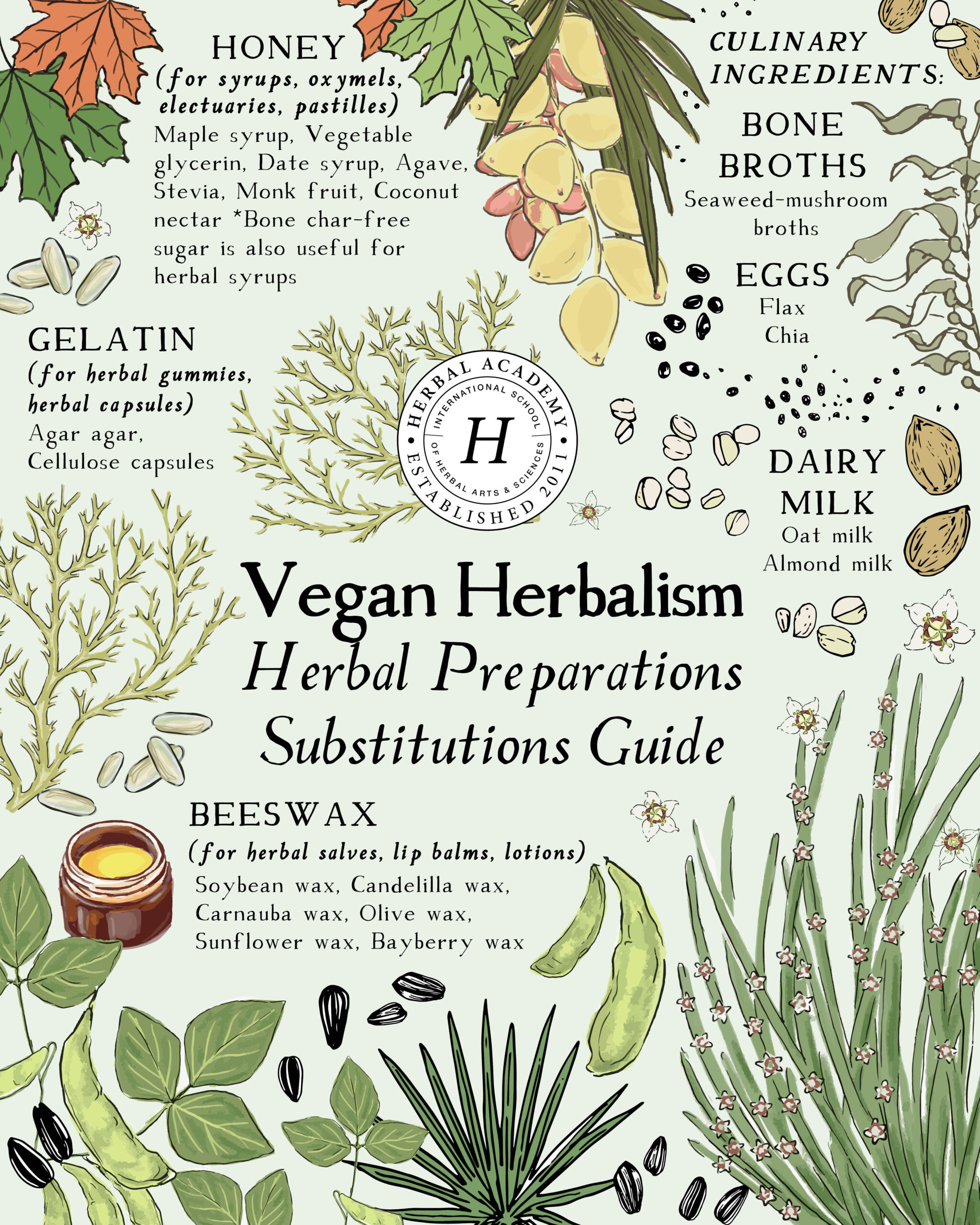 Vegan Herbalism: How to Find Alternatives to Honey, Beeswax, and More | Herbal Academy | For those who adhere to a vegan lifestyle, vegan herbalism means understanding animal-free ingredients to use in common herbal preparations.