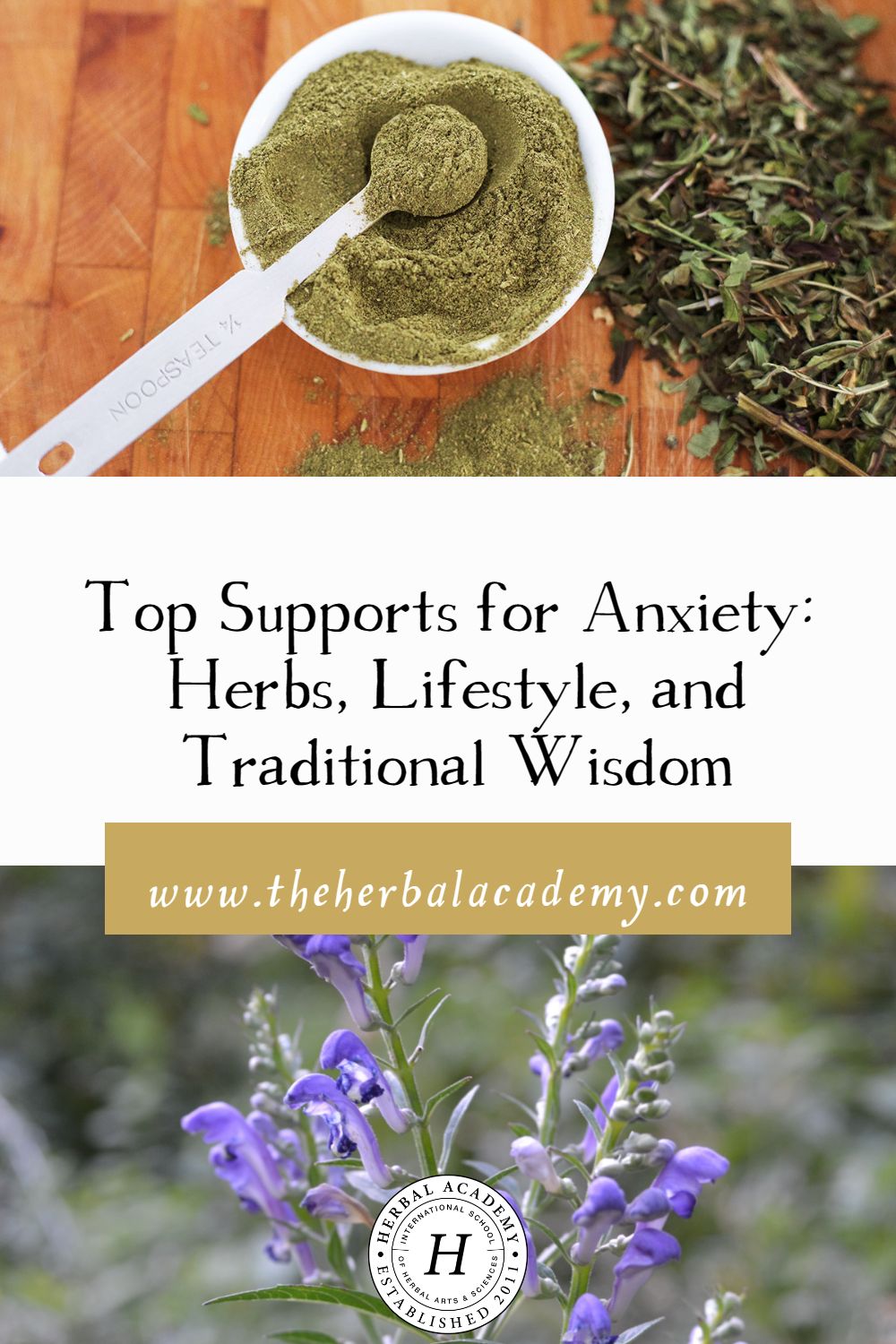 Top Supports for Anxiety: Herbs, Lifestyle, and Traditional Wisdom | Herbal Academy | Lifestyle is key in setting the stage for keeping anxiety in check and one’s mood balanced. In addition to getting ample quality sleep and plenty of exercise, social connections play a huge role in mental health. In this article, we will explore herbal and lifestyle supports for anxiety.