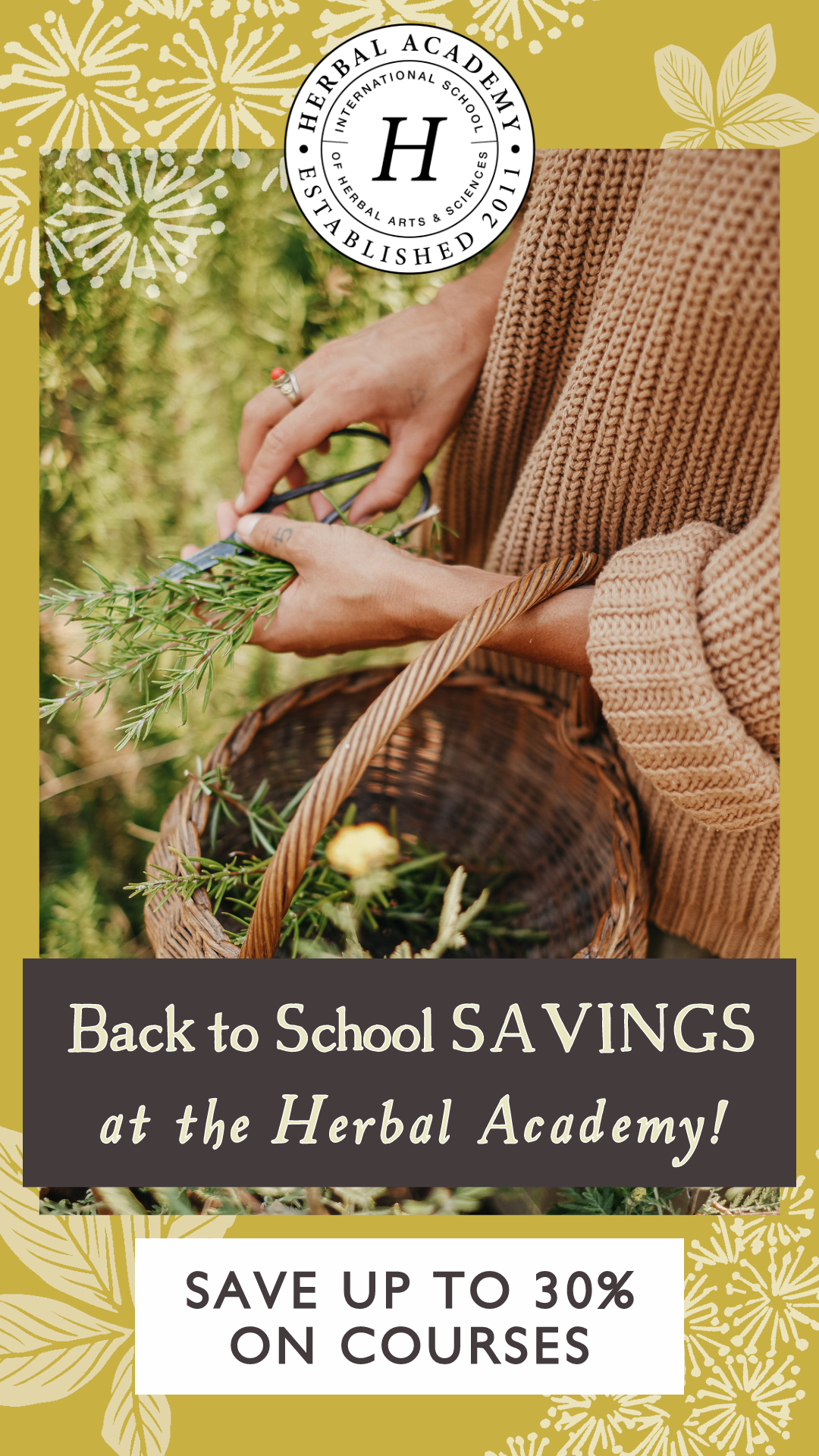 save up to 30% on herbal courses