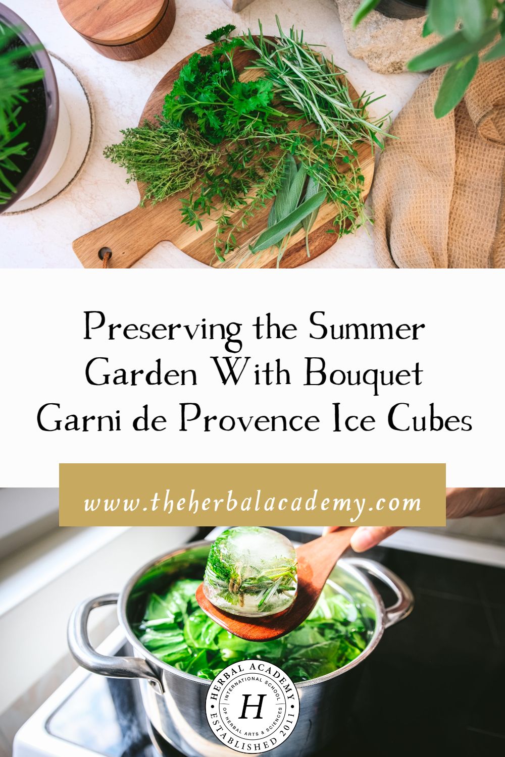 Preserving the Summer Garden With Bouquet Garni de Provence Ice Cubes | Herbal Academy | The herbs in an aromatic bundle of a bouquet garni are one way to enhance the flavors of dishes, infusing them with the essence of the herbs.