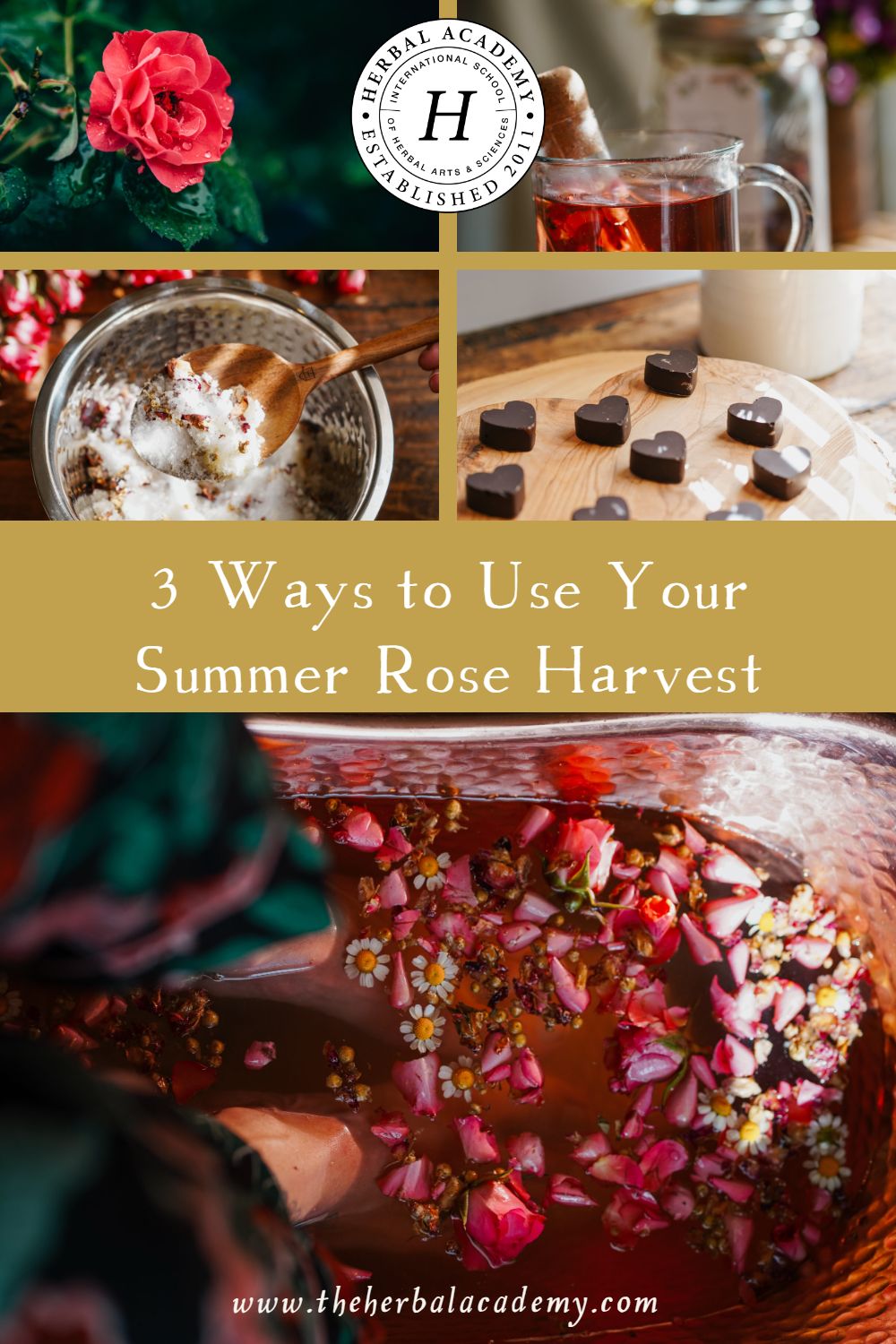 3 Ways to Use Your Summer Rose Harvest | Herbal Academy | We are shining a spotlight on the iconic rose by using it in these 3 self-care recipes you can share with others or spoil yourself with!