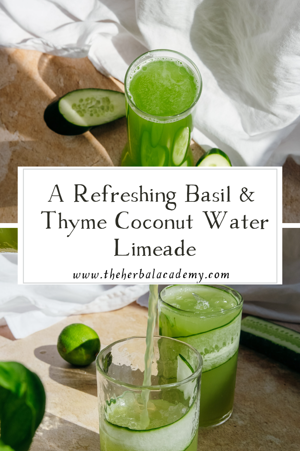 A Refreshing Basil & Thyme Coconut Water Limeade | Herbal Academy | Basil and thyme added to the coconut water limeade in this recipe add a beautiful aroma reminiscent of the Mediterranean.