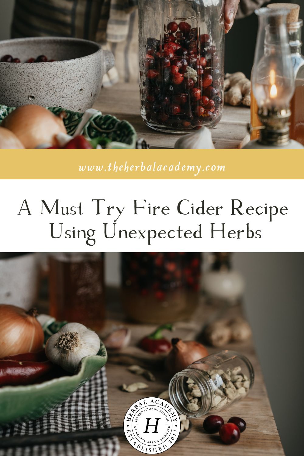 A Must Try Fire Cider Recipe Using Unexpected Herbs | Herbal Academy | In this article, we have a fun spin on the traditional fire cider with a Cranberries and Cardamom Fire Cider recipe we are sharing below!