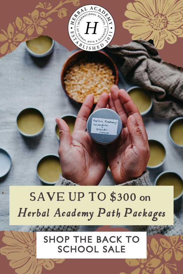 34 Ways To Use Roses Herbal Academy