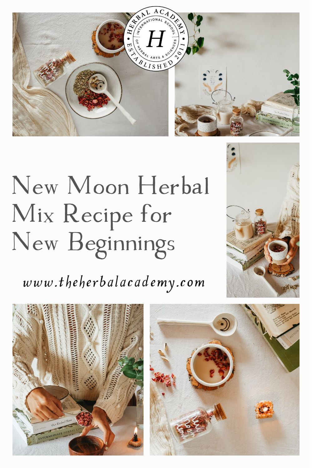 New Moon Herbal Mix Recipe for New Beginnings | Herbal Academy | This article will discuss the energy of the New Moon and how to support yourself with herbs during this internal time in the lunar cycle.