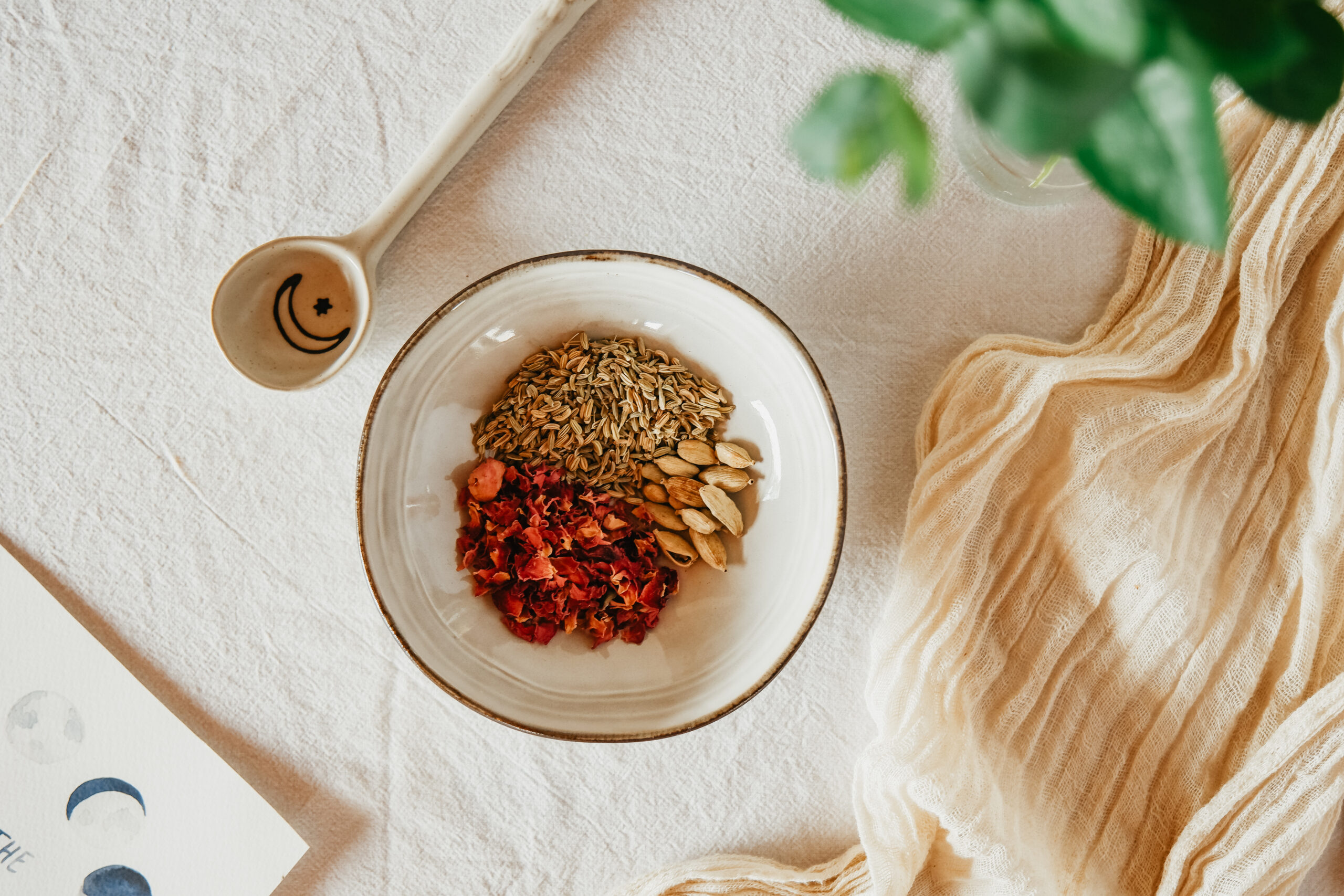 New Moon Herbal Mix Recipe for New Beginnings | Herbal Academy | This article will discuss the energy of the New Moon and how to support yourself with herbs during this internal time in the lunar cycle.