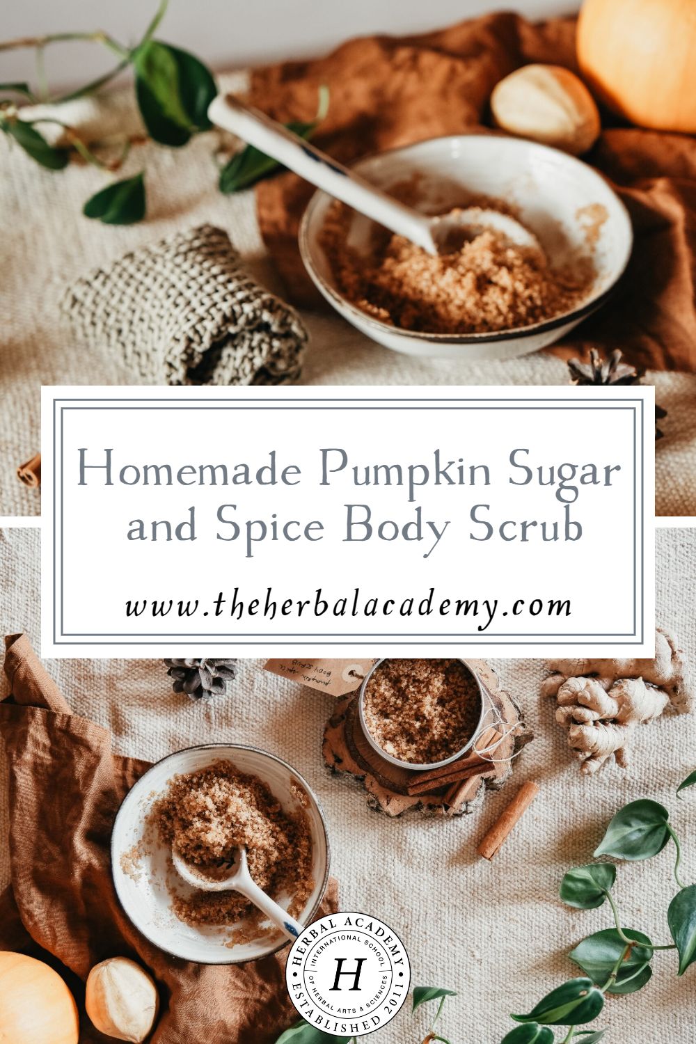 Homemade Pumpkin Sugar and Spice Body Scrub | Herbal Academy | Made with all-natural, food-safe ingredients, this pumpkin spice body scrub will leave your skin glistening and moisturized.