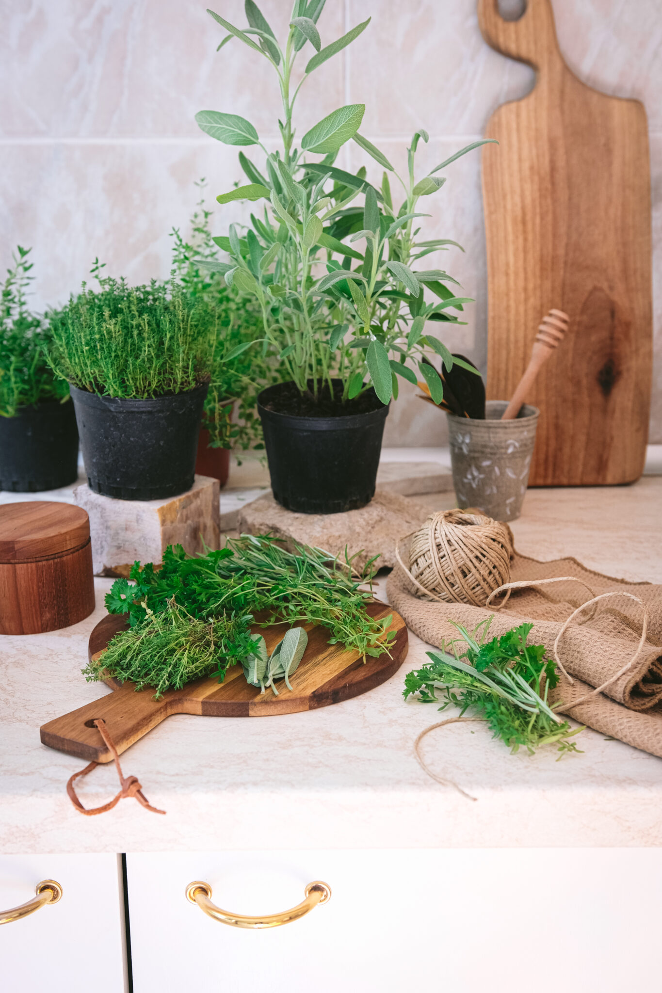 Preserving the Summer Garden With Bouquet Garni de Provence Ice Cubes ...