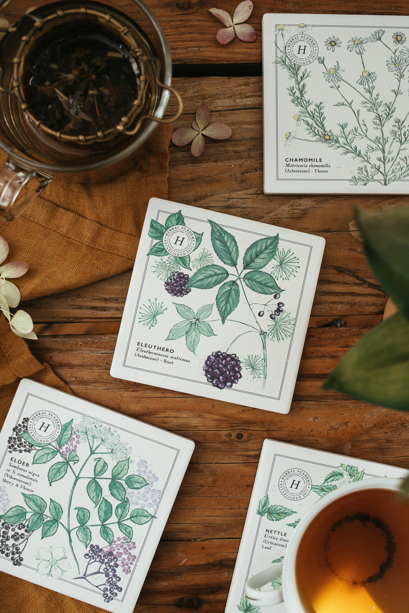 Botanical Coasters - by Herbal Academy