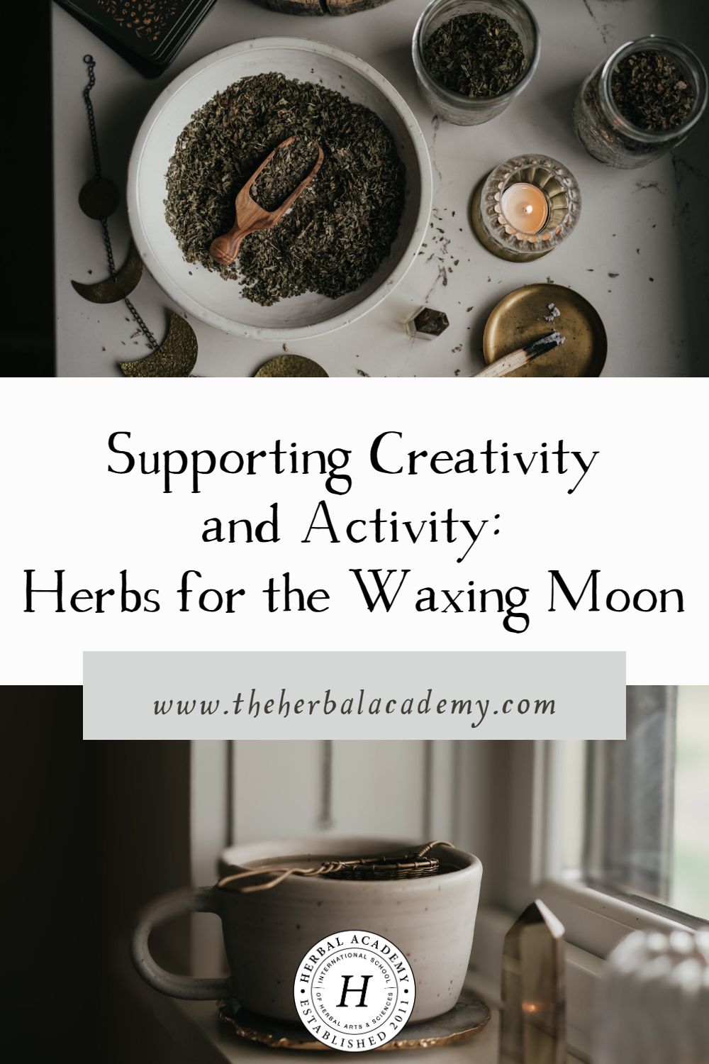 Supporting Creativity and Activity: Herbs for the Waxing Moon | Herbal Academy | Enjoy this Waxing Moon Herbal Blend as a way to support yourself during times of heightened action, creativity, and productivity.