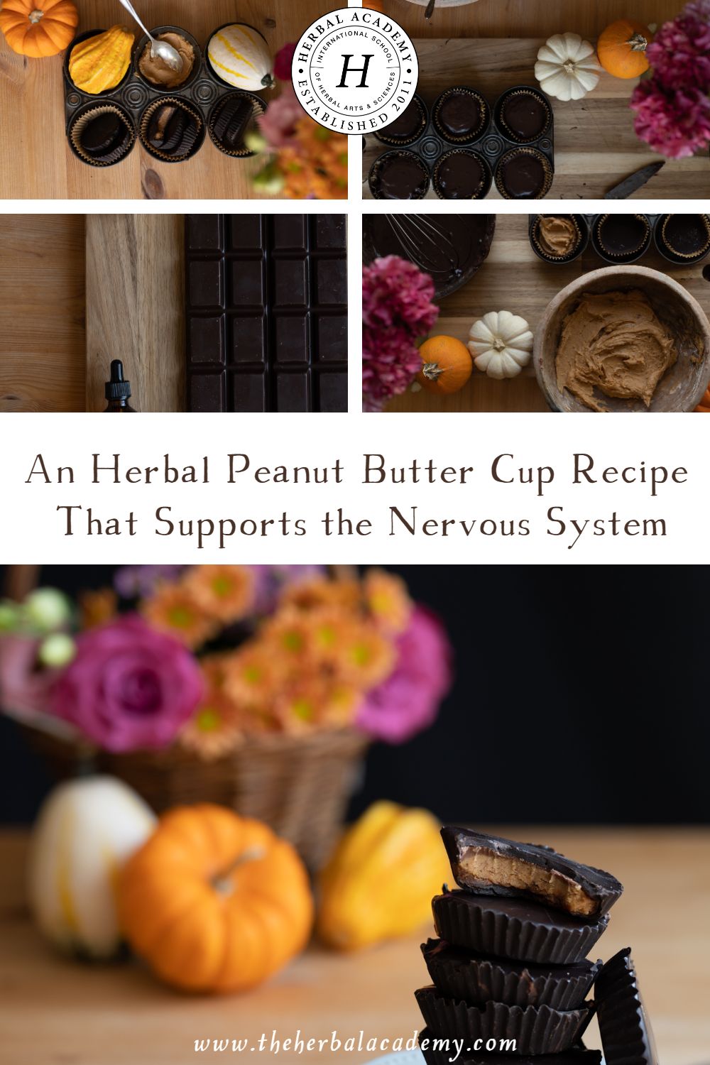 An Herbal Peanut Butter Cup Recipe That Supports the Nervous System | Herbal Academy | Feel inspired by this Herbal Peanut Butter Cup recipe to start incorporating herbal allies into your favorite foods and sweet treats.