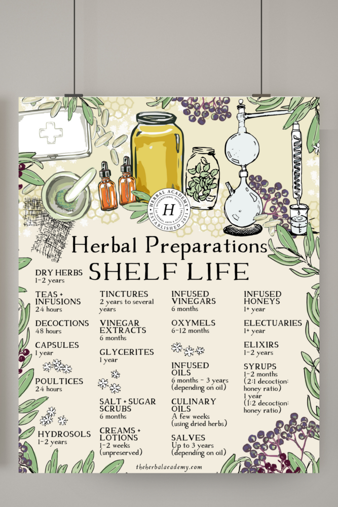 Herbal Preparations Shelf Life Digital Download – Herbal Academy