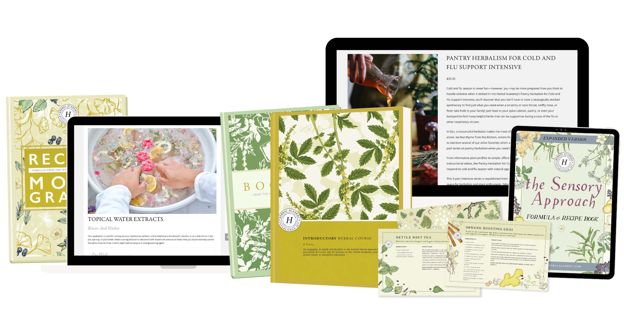 Introductory Herbalism Bundle Introductory Herbal Course